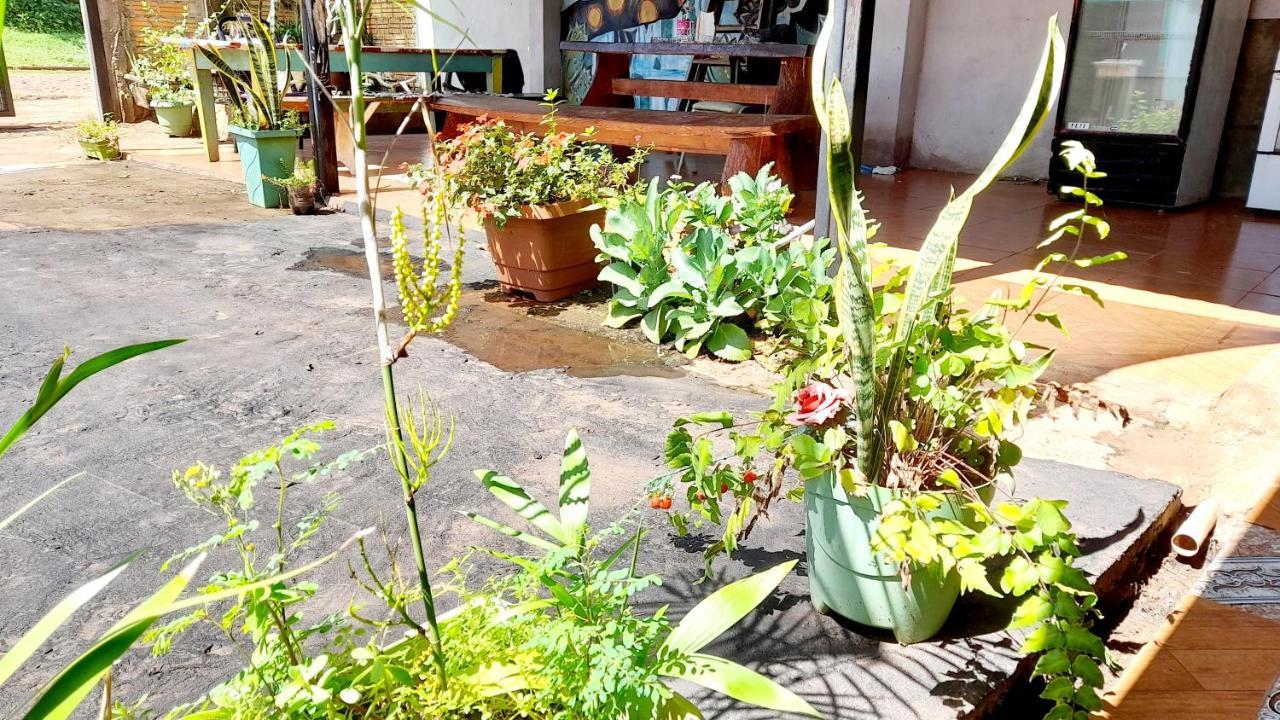 Hostal Sol Iguazu Пуэрто-Игуасу Экстерьер фото