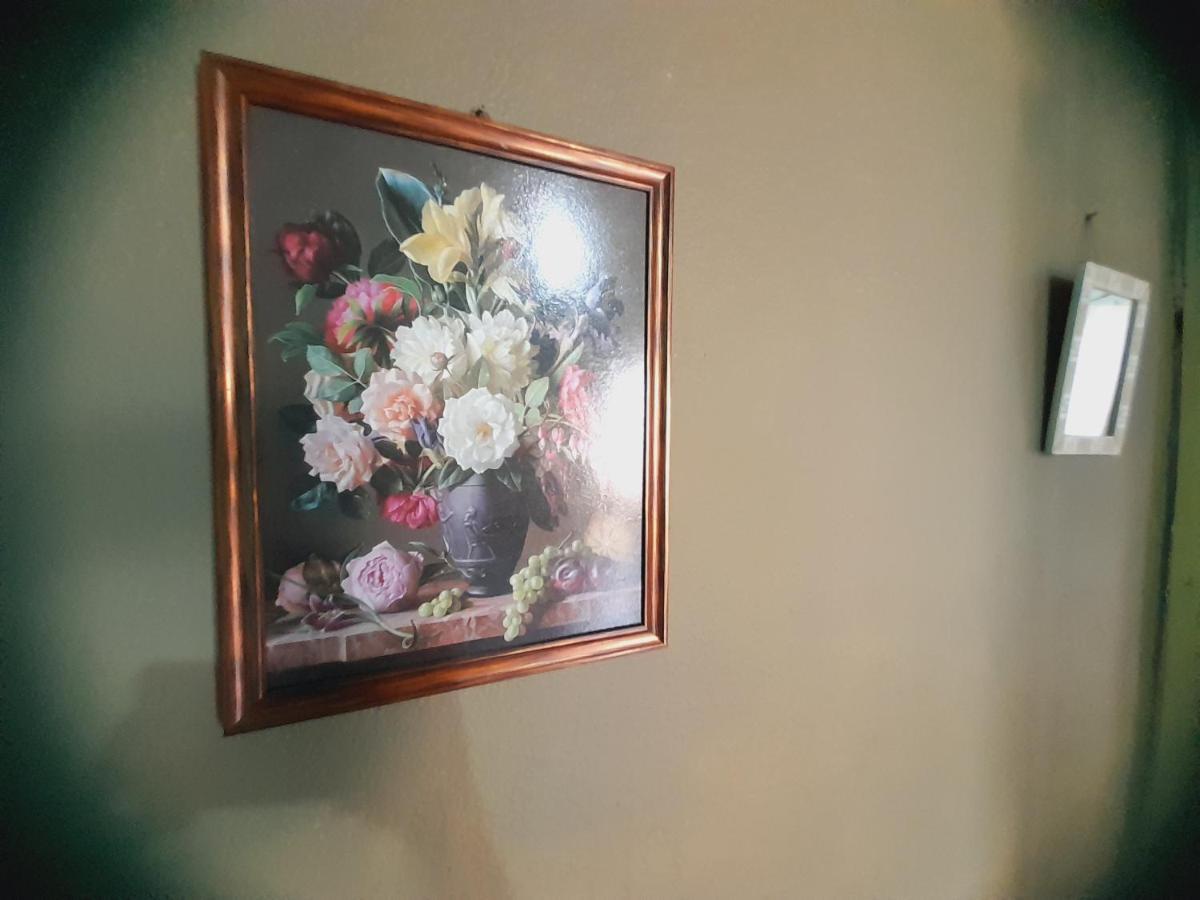 Hostal Sol Iguazu Пуэрто-Игуасу Экстерьер фото